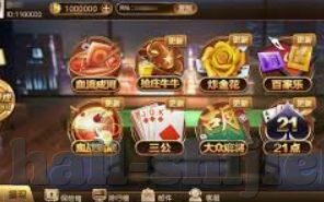 2026世界杯知识竞猜-2026世界杯知识竞猜，足球盛宴的未知与期待